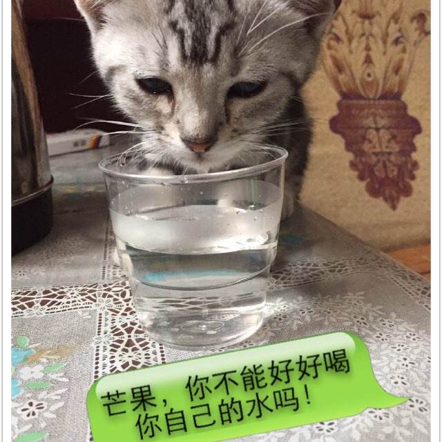 商品房房产证图片样本高清